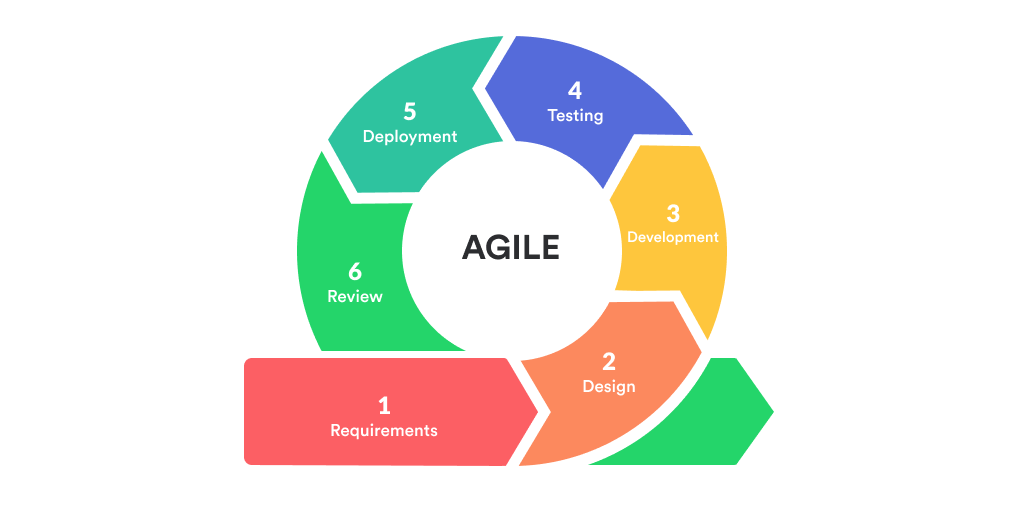 Agile Lifecycle: https://mlsdev.com/blog/agile-sdlc